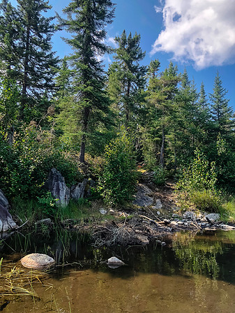 The mucky entrance to the portage to Embryo from Upper Hatchet Lake.