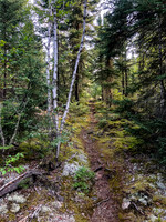 Portage Trail between Hatchet and Upper Hatchet or Caribou Lake.