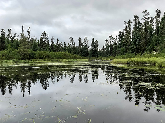 Paddling Douglas Creek.