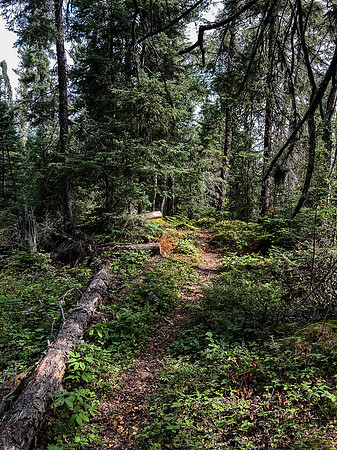 Portaging out of Onnie Lake.