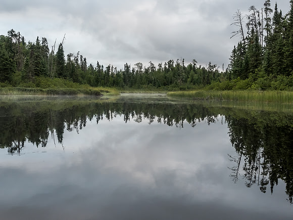Entering Douglas Creek out of Onnie Lake.