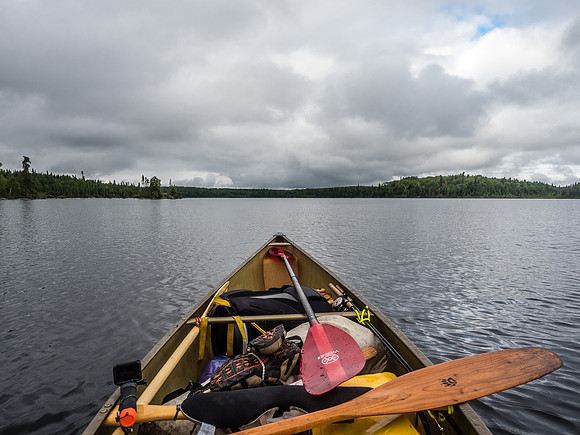 Paddling Douglas Lake.