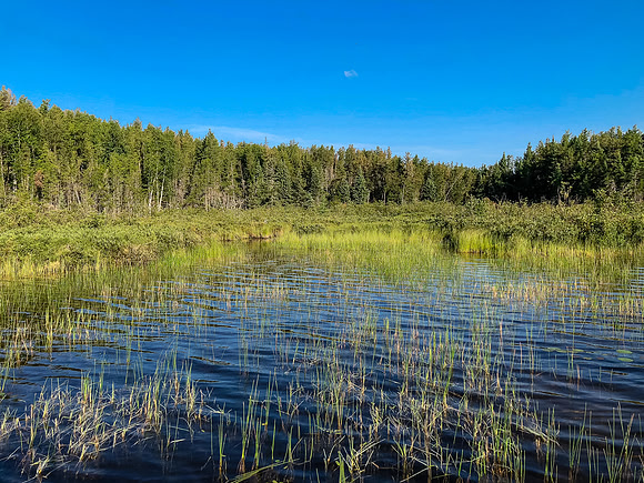 Shallow creek leading to the portage from Page to an unnamed lake.