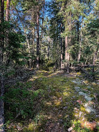 The portage between Bell and Crystal Lake.