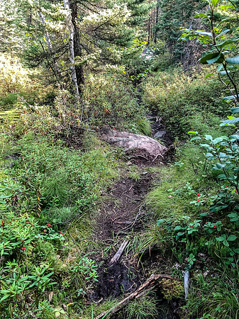 Portage Trail between Hatchet and Upper Hatchet or Caribou Lake.