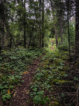 Portage trail between Hatchet and Peterson Lakes.