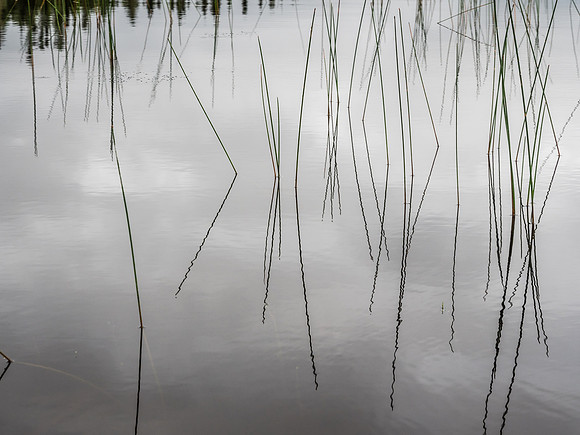 Paddling Douglas Lake.