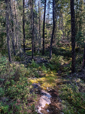 The portage between Bell and Crystal Lake.