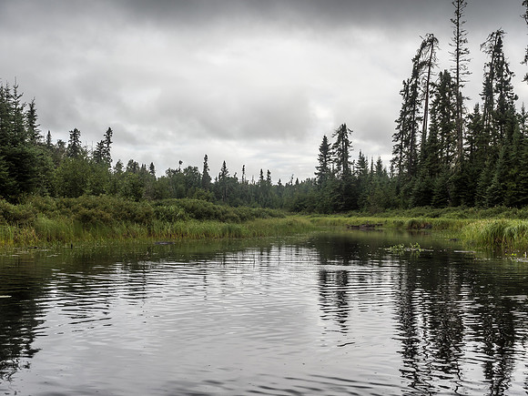 Paddling Douglas Creek.