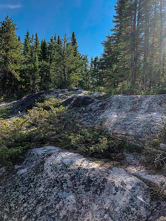 A nice step at the end of the portage between Bell and Crystal Lakes.