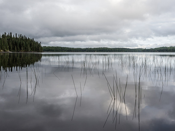 Paddling Douglas Lake.