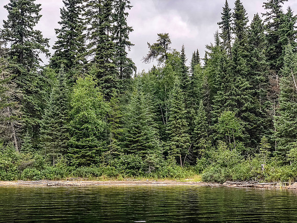 Paddling Peterson Lake.