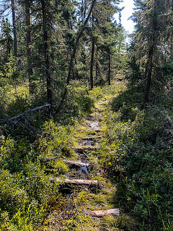 The portage between Bell and Crystal Lake.