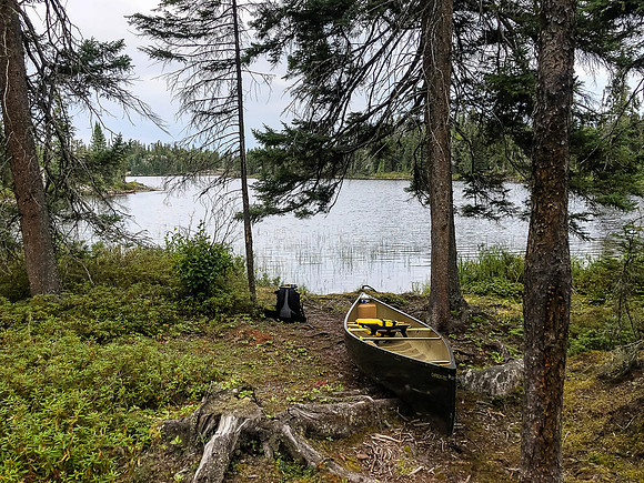 Saying goodbye to Woodland Caribou Park.