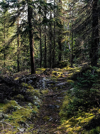 Portage Trail between Hatchet and Upper Hatchet or Caribou Lake.