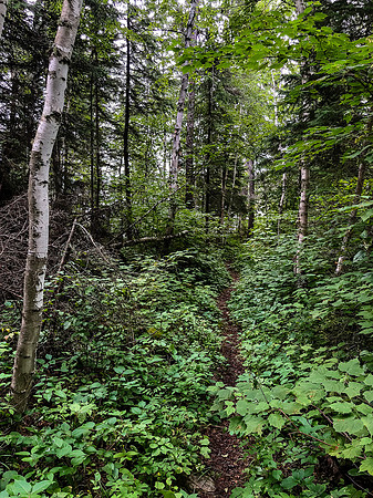 Portage trail between Peterson and Page Lake.