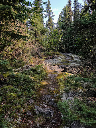 Portage Trail between Hatchet and Upper Hatchet or Caribou Lake.