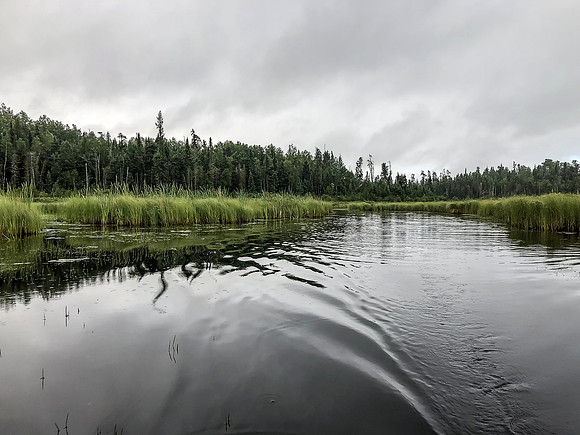 Paddling Douglas Creek.