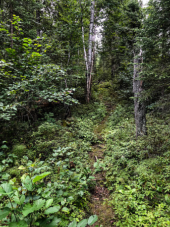 Portage trail between Peterson and Page Lake.