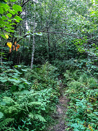 The portage between Lac Lammont and Telescope Lake.
