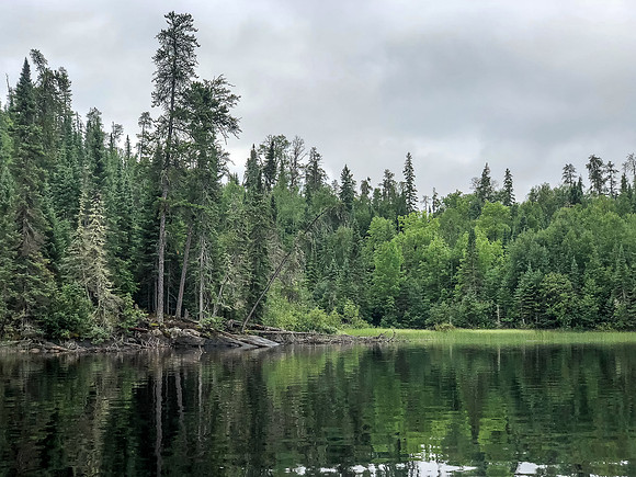 Campsite on Douglas Lake.