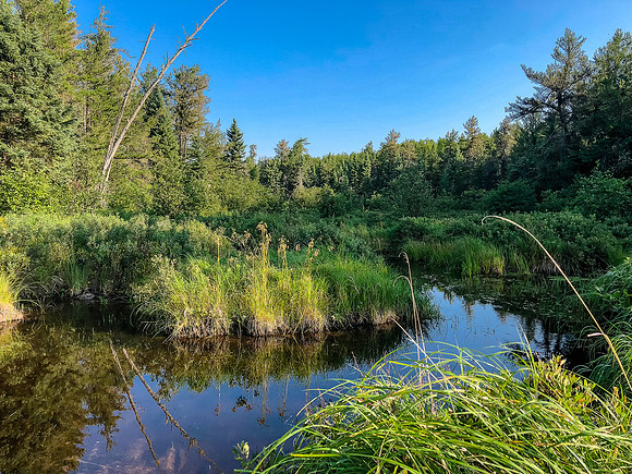 Shallow creek leading to the portage from Page to an unnamed lake.