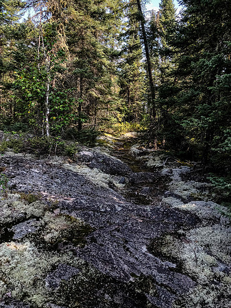 Portage Trail between Hatchet and Upper Hatchet or Caribou Lake.