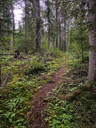 Portage trail between Peterson and Page Lake.
