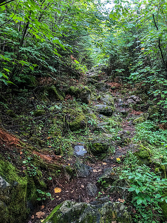 Portage trail from Douglas up to Hatchet Lake.