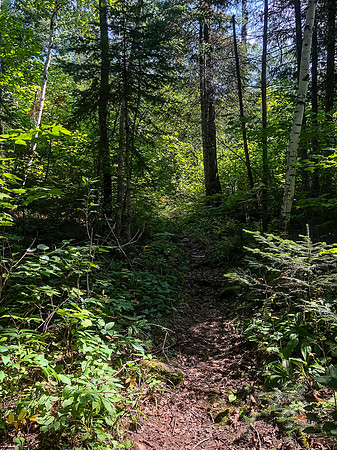 The portage between Upper Hatchet and Embryo Lake.
