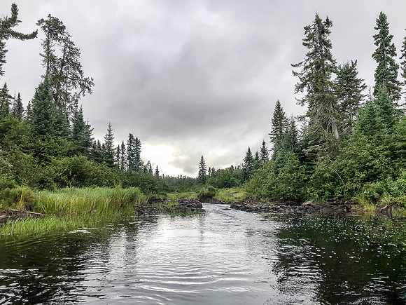 Paddling Douglas Creek.
