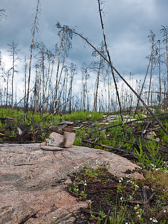 Small cairns mark the way through.