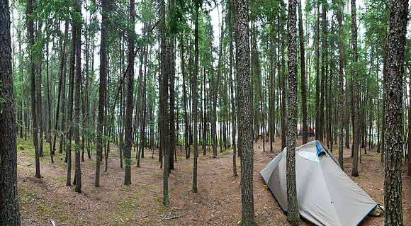 The camp was heavily used. Almost too heavily but great tent sites.