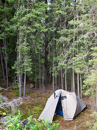 Our tent sites were sublime - set back in the trees on a carpet of moss and pine needles.