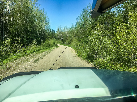 After the first 18 kms the Iriam Lake road deteriorated quite a bit. It's hard to see here, but it was pretty beat up thanks to the RED03 wildfire earlier in the year and fire crews extensively drivi