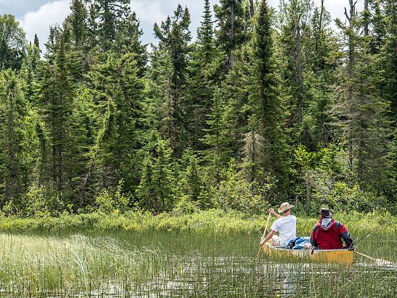Entering the Rostoul River towards Optic Lake from Upper Glenn Lake.