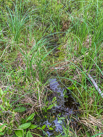 Some of the 575m into Haven Lake weren't that nice. ;)