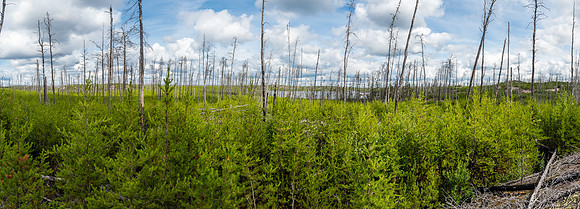 Looking ahead to Jigsaw Lake from part way back along the portage from Wrist.