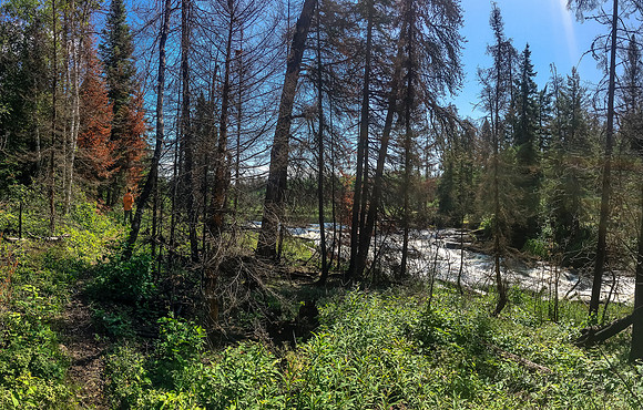 Niko walks the 300m portage trail along the Rostoul River. Note the nice blue sky? That won't last much longer...