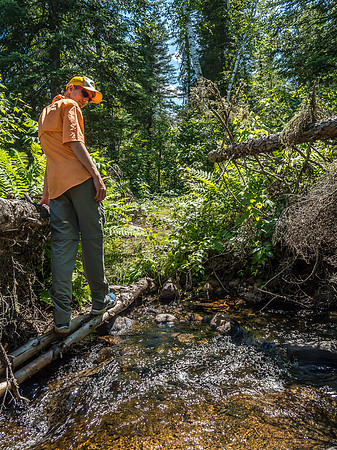 Carefully balancing across the creek along the 625m portage into Onnie Lake. This was tougher once we had a canoe on our heads.