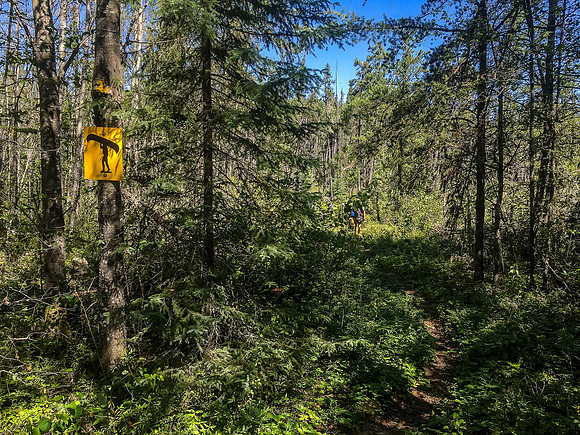 Looking back at Jon coming out of the 350m portage to the parking lot.
