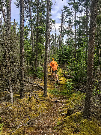 The excellent 150m portage between Mexican Hat and Beck's Lake.