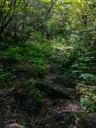 There is some tricky footing coming down the portage trail into Douglas from Hatchet Lake.