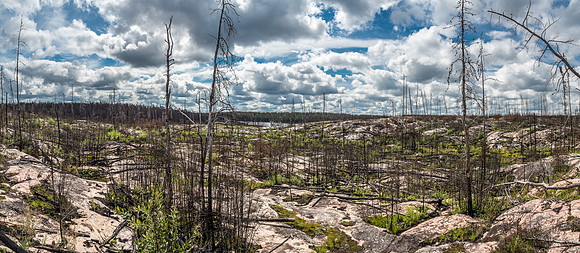 Some of the most interesting terrain we portaged through on our trip - the apocalyptic landscape between Wrist and Jigsaw Lake.
