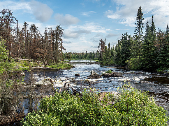 A set of rapids along the Rostoul River between Lower Glenn and Hansen Lake.
