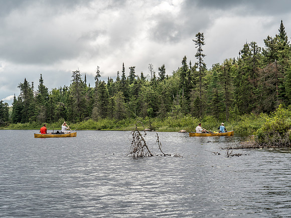 Paddling the Rostoul River out of Glenn Lake towards Optic.