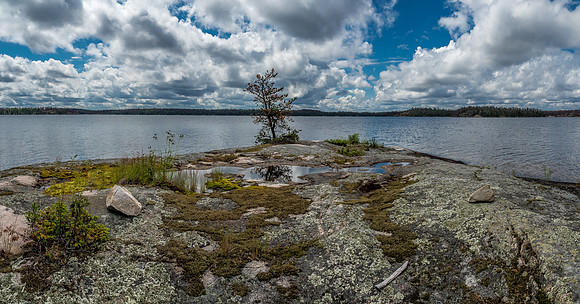 Exploring a small island near camp on Wrist Lake.