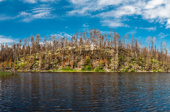 A recent burn along the Rostoul River between Lower Glenn and Hansen Lake.