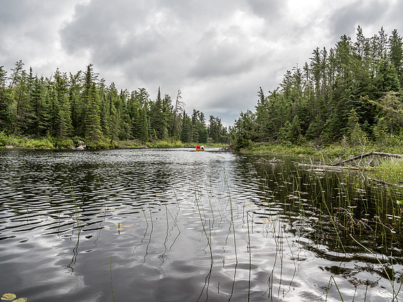Paddling the Rostoul River out of Glenn Lake towards Optic.