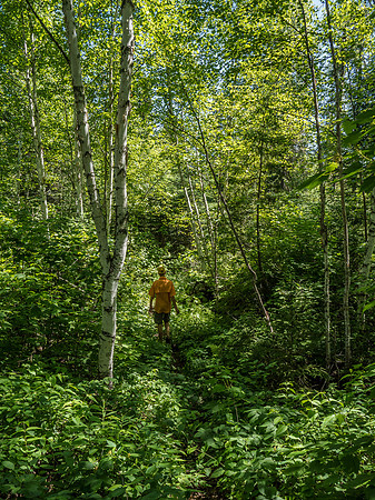 With a limited number of paddlers each year, even popular portage trails aren't highways like in other canoeing destinations.